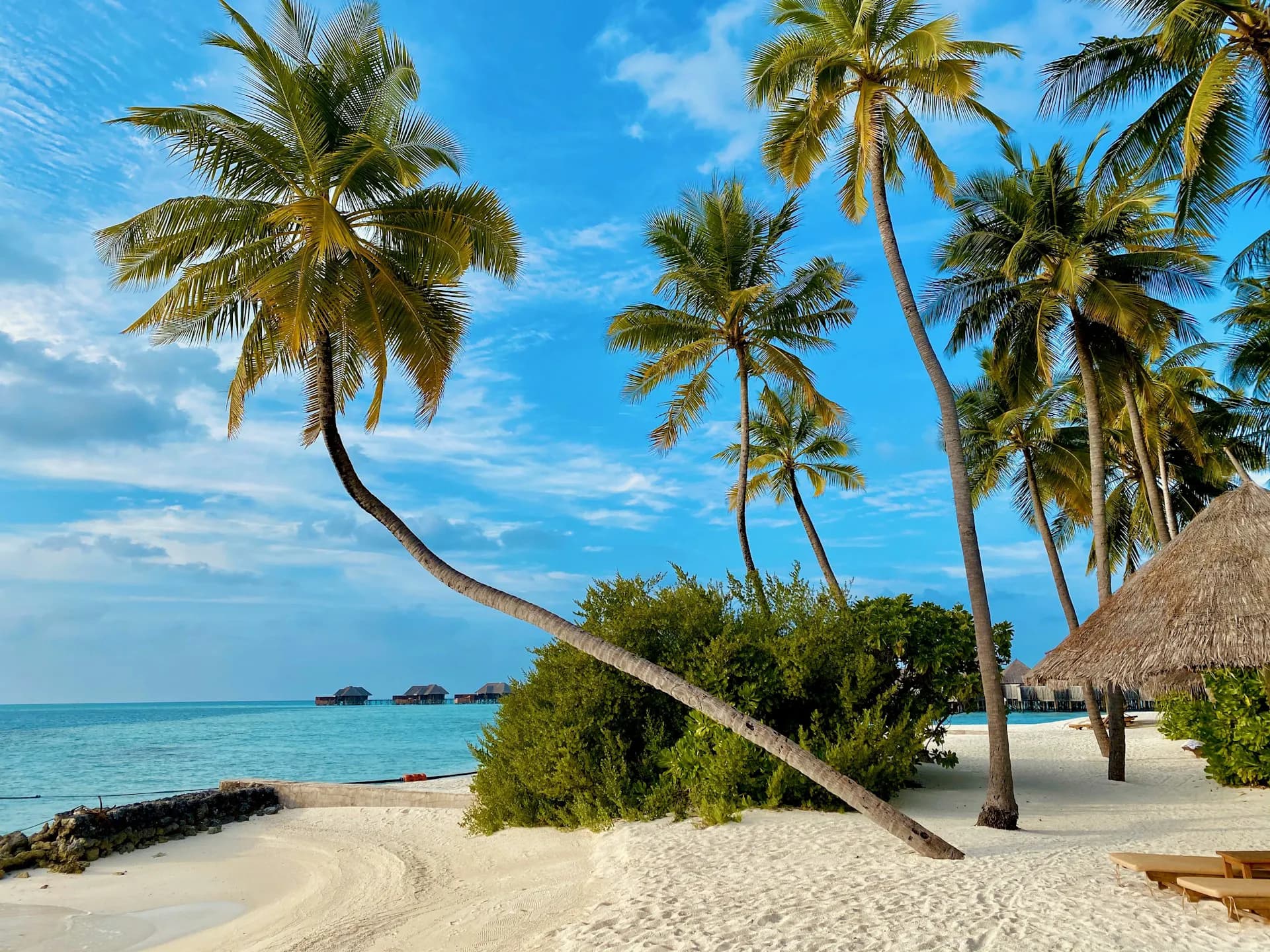 Plage de sable blanc avec eau turquoise à l'île Maurice